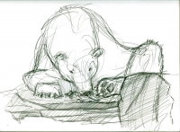 https://www.branjofarms.com/files/gimgs/th-65_65_polarbearsketch1.jpg