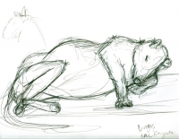 https://www.branjofarms.com/files/gimgs/th-65_65_treekangaroo.jpg
